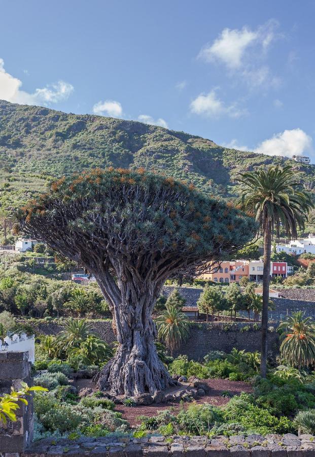 Terraza Centrico Pueblo Aparcamiento Cerca Appartement Icod De Los Vinos Buitenkant foto